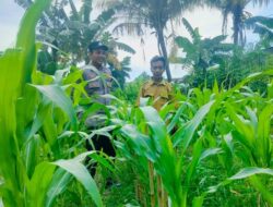 Strategi Polsek Labuapi Optimalkan Lahan Tidur di Bajur