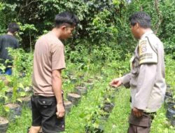 Strategi Polsek Batulayar Tekan Inflasi Melalui Lahan Desa