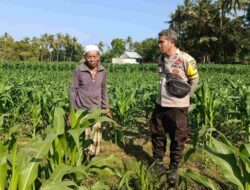 Cara Polsek Batulayar Ubah Pekarangan Jadi Sumber Ekonomi