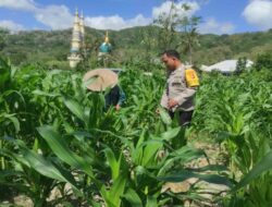 Langkah Polsek Gerung Perkuat Kemandirian Pangan